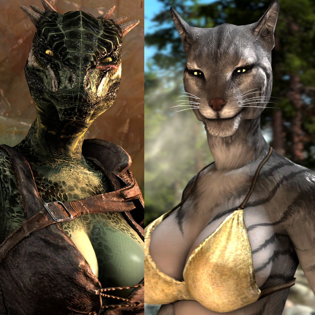 skyrim sexy female clothes Skyrim Female Armor and Outfit Mods by Kozakowy main image 1