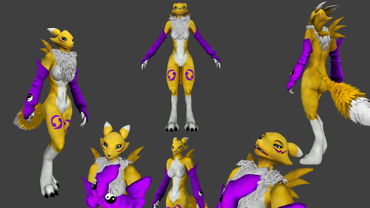 SFMLab • RENAMON 2016
