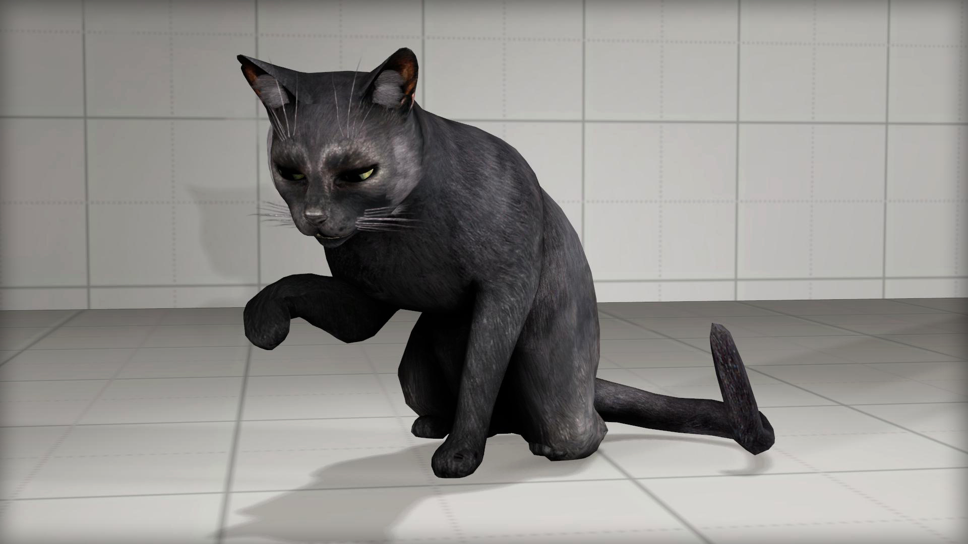 SFMLab • Cat [Murdered: Soul Suspect]