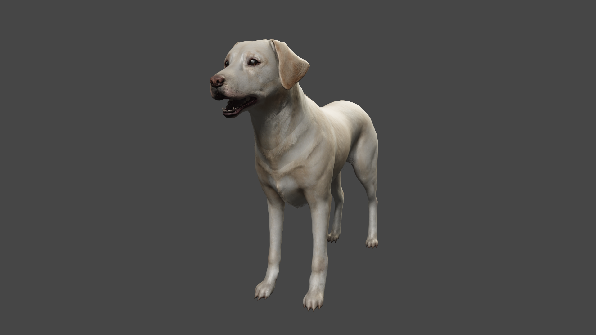 Open3DLab • Fallout 4 - Dog models